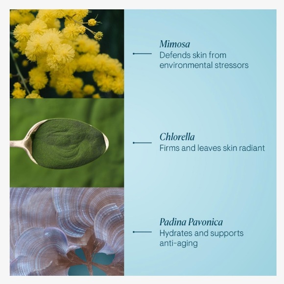 Elemis Pro-Collagen Marine Cream - Picture 6 of 6